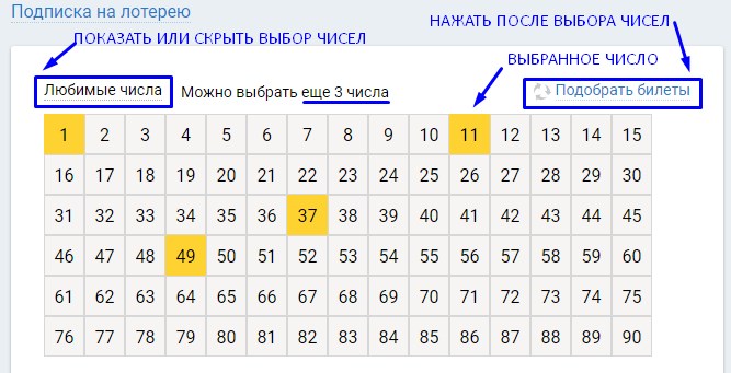 Как купить лотерейный билет в личном кабинете на сайте Столото