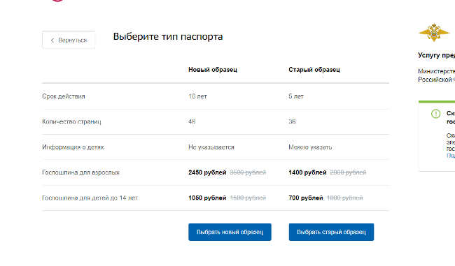 Рис. 3. Выбор типа паспорта