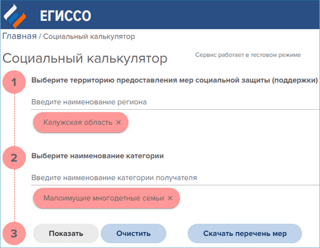 Как быстро проверить начисление детских пособий и других выплат онлайн