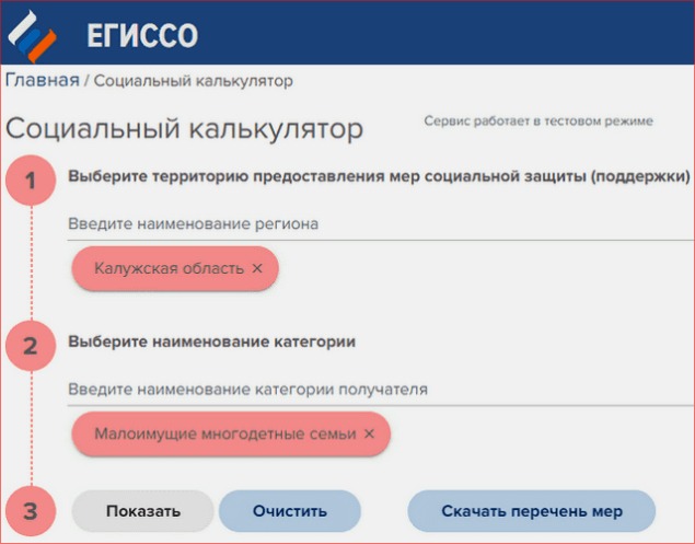 Чтобы проверить начисление социальных пособий через государственные услуги, войдите в свой личный кабинет сайта egiso