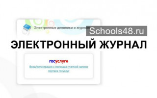 Как войти в электронный журнал и дневник Липецкой области через Госуслуги