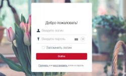 Как оформить заявку на кредит в личном кабинете Мой Кредит банка Хоум Кредит