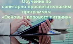 Как зарегистрироваться и пройти обучение по программе «Основы здорового питания»