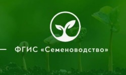 Как войти в личный кабинет ФГИС «Семеноводство»