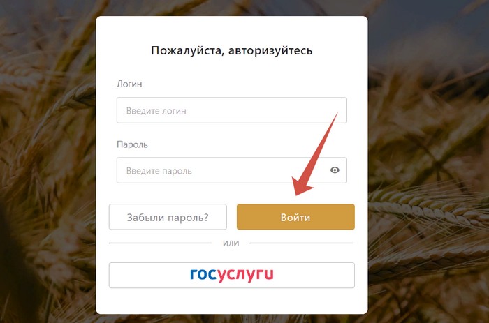 вход в кабинет фгис зерно