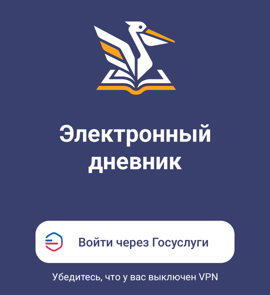 Экран входа в приложение «Петербургское образование. Электронный Дневник»: кнопка «Войти через Госуслуги»